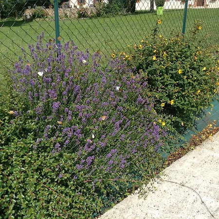 D'hote Du Houssay A 72320 Varennes (Yonne)